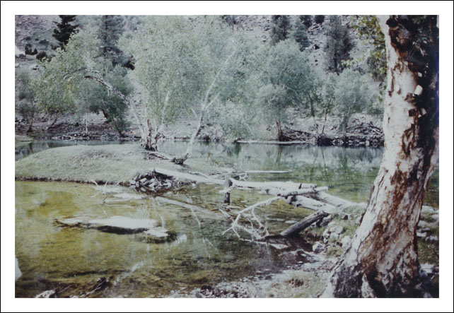 A Lake Near Naltar - 60 KM away from Gilgit in Pakistan - Date - 1992